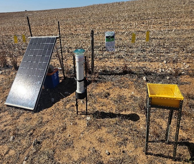 From field to refuge: Are green bridges supporting natural enemies over&nbsp;summer?